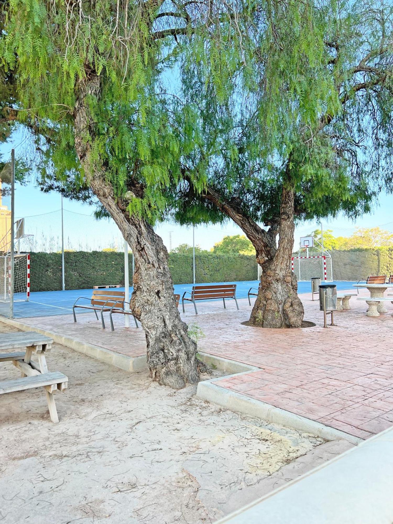 Apartament Coqueto Con Piscina, Nuevo A 50M Del Mar, Parking Gratis El Campello Zewnętrze zdjęcie