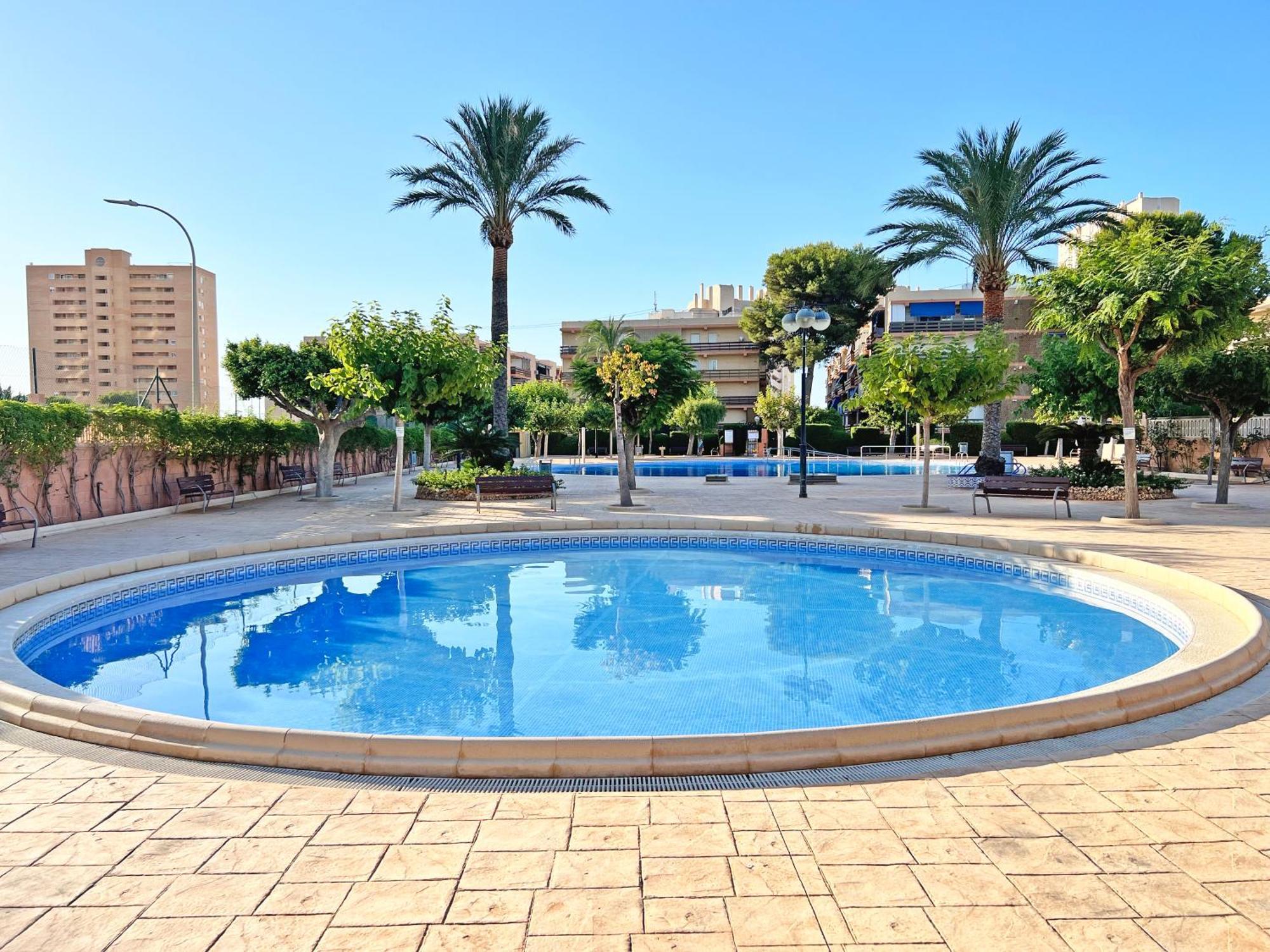Apartament Coqueto Con Piscina, Nuevo A 50M Del Mar, Parking Gratis El Campello Zewnętrze zdjęcie