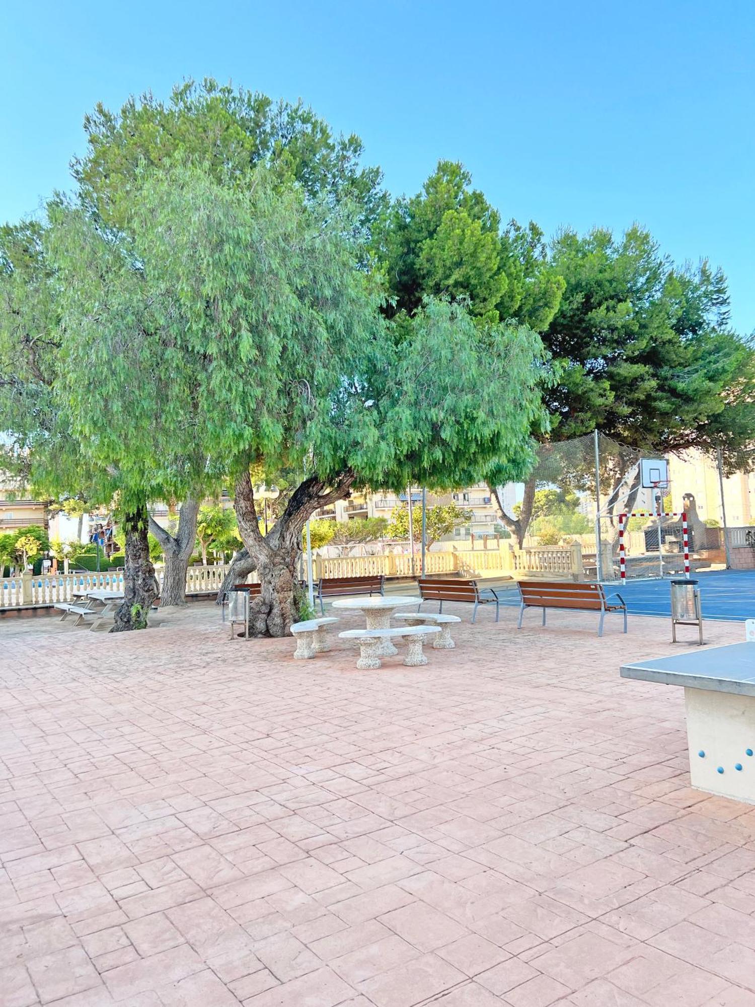 Apartament Coqueto Con Piscina, Nuevo A 50M Del Mar, Parking Gratis El Campello Zewnętrze zdjęcie