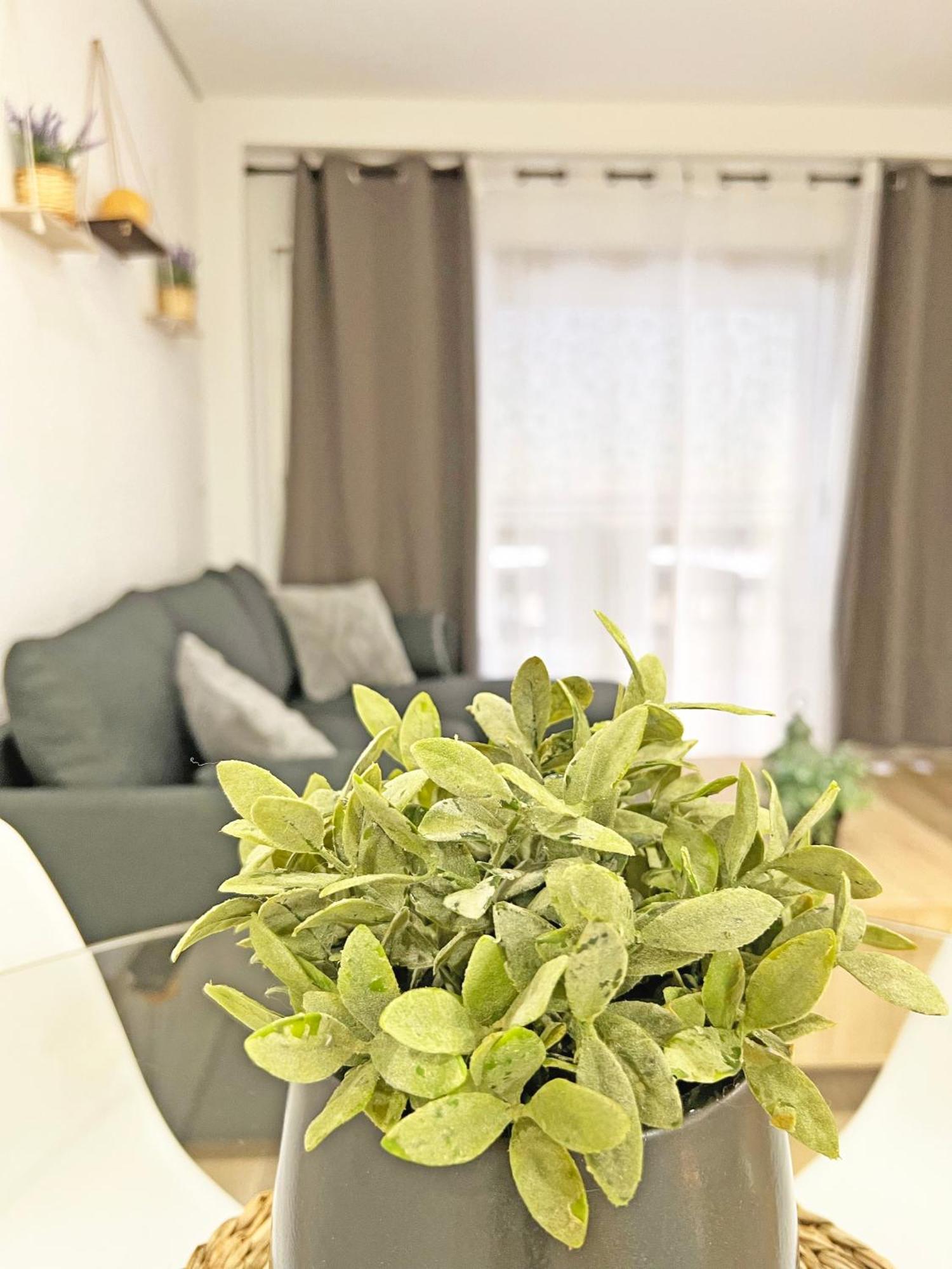 Apartament Coqueto Con Piscina, Nuevo A 50M Del Mar, Parking Gratis El Campello Zewnętrze zdjęcie