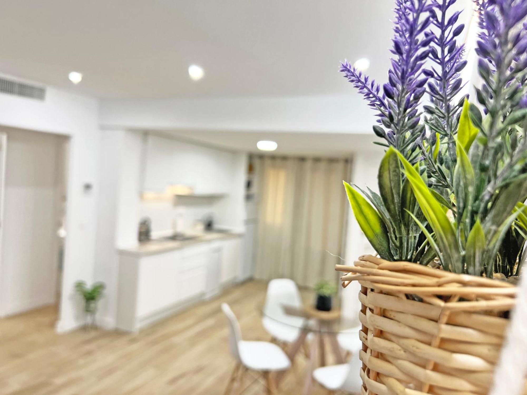 Apartament Coqueto Con Piscina, Nuevo A 50M Del Mar, Parking Gratis El Campello Zewnętrze zdjęcie